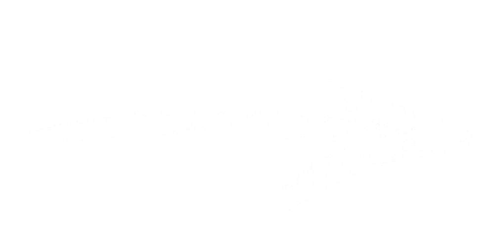 arrow showing a button